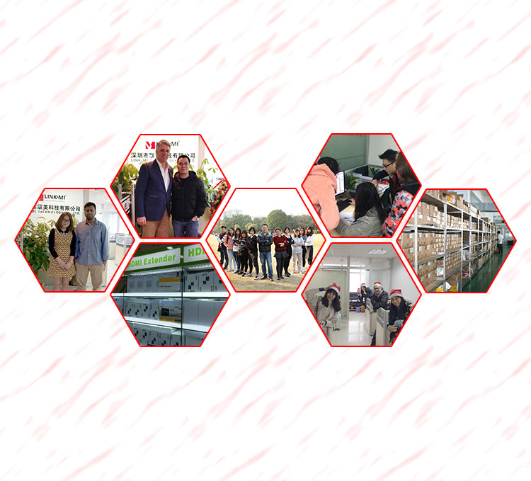 Shenzhen LINK-MI Technology Co., Ltd.